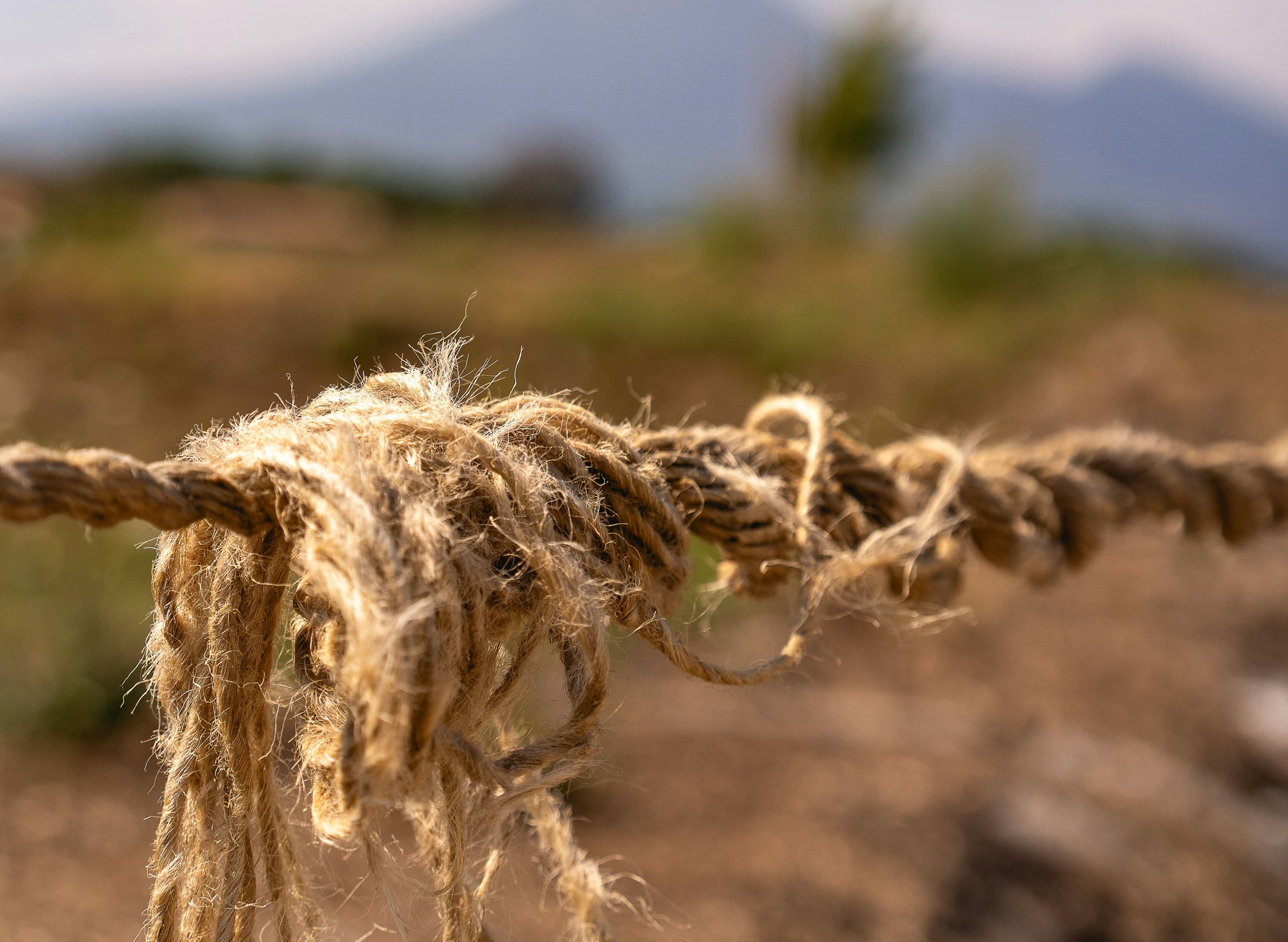 CMOs Can’t Afford a Weak GTM Story in 2026